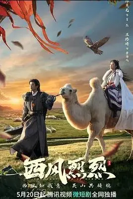 《转折点：越南战争》深度解析：历史的伤痕，反思与警示