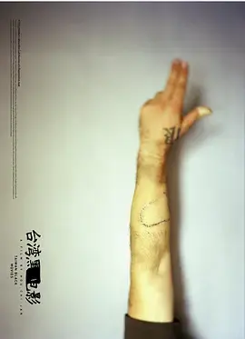 揭秘《台湾黑电影》：暴力、情欲与社会边缘的真实写照，一部被遗忘的影史切片