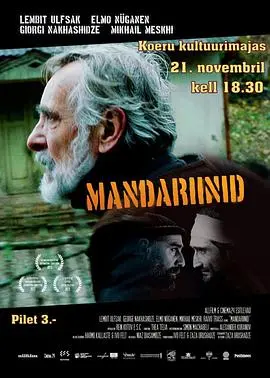 《金橘》：一场横跨时代的乡土诗篇，看人生百味在金色果实中流转，温情致敬经典！